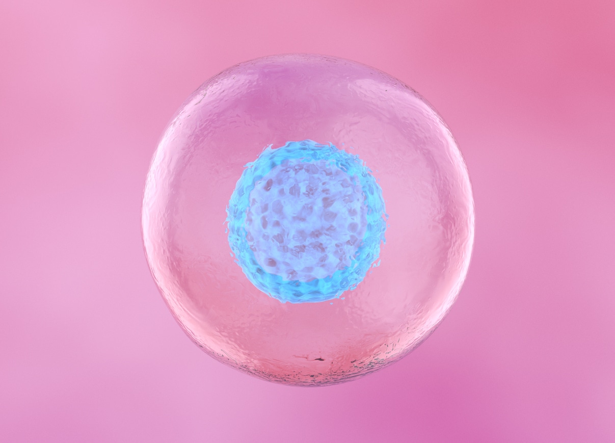 A close up shot of a stem cell
